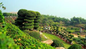 Book A cabs to Experium Eco Park in Hyderabad